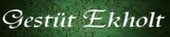 Logo Stiftung Therapeutisches Reiten Gestüt Ekholt