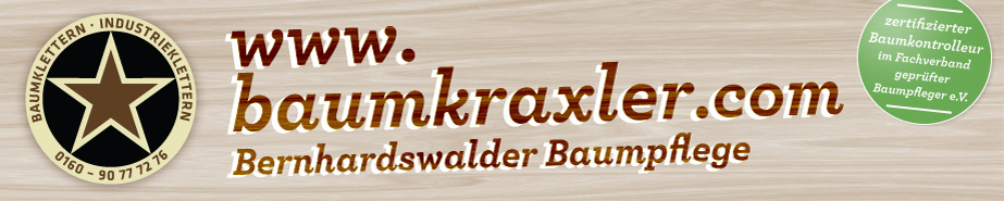 Andy Schrepfer Baumpfleger und Industriekletterer