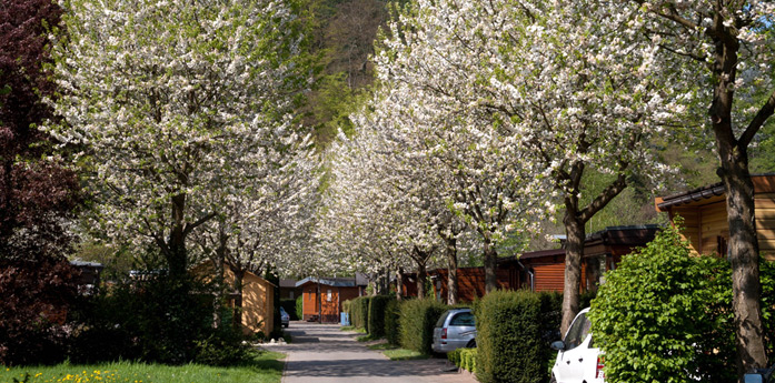 Campinggesellschaft am Entenfangsee mbH