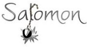 Logo Salomon Dienstleistungen und Abbruch GmbH