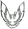 Logo burrencoach LTD.